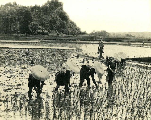 Ngam Nhat Ban binh yen nhung nam 1910 - 1930-Hinh-6